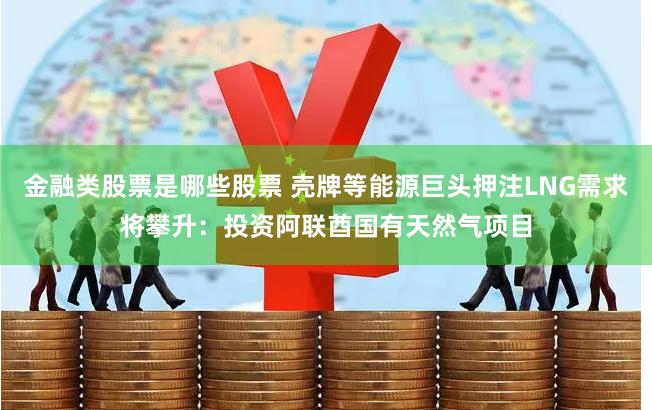 金融类股票是哪些股票 壳牌等能源巨头押注LNG需求将攀升：投资阿联酋国有天然气项目