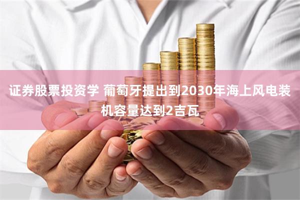 证券股票投资学 葡萄牙提出到2030年海上风电装机容量达到2吉瓦