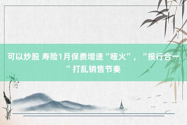可以炒股 寿险1月保费增速“哑火”,“报行合一”打乱销售节奏
