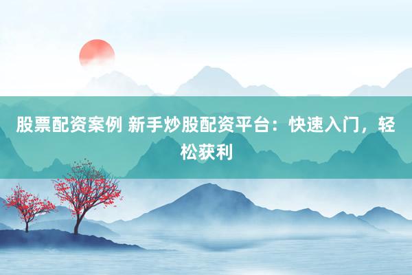 股票配资案例 新手炒股配资平台:快速入门,轻松获利
