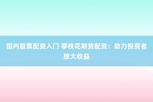 国内股票配资入门 攀枝花期货配资:助力投资者放大收益